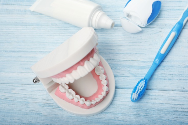 dental model and toothbrush